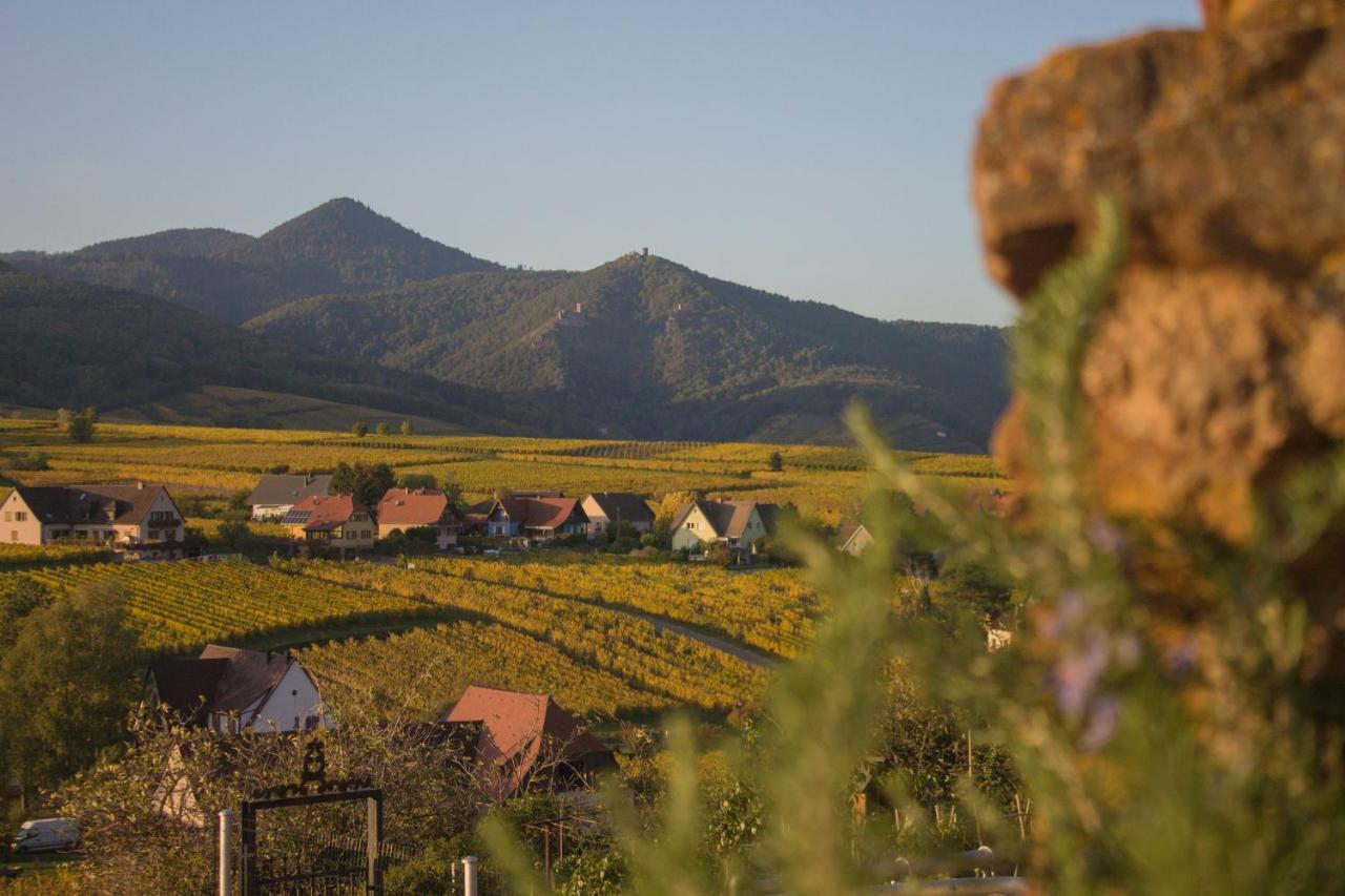 Le Zell Villa Zellenberg Luaran gambar