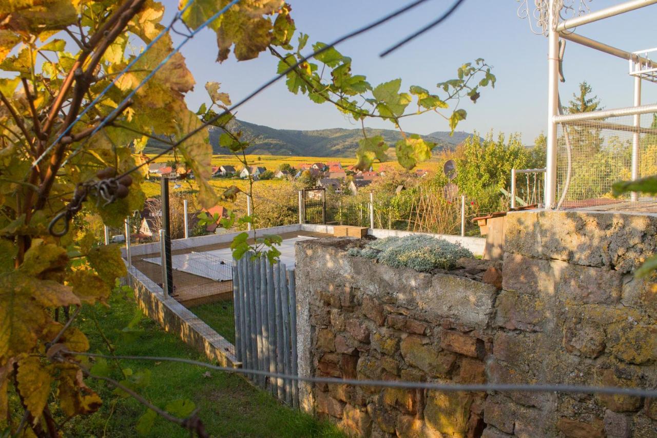 Le Zell Villa Zellenberg Luaran gambar